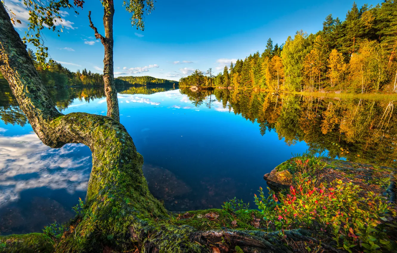 Photo wallpaper autumn, forest, lake, reflection, tree, Norway, Norway, Buskerud