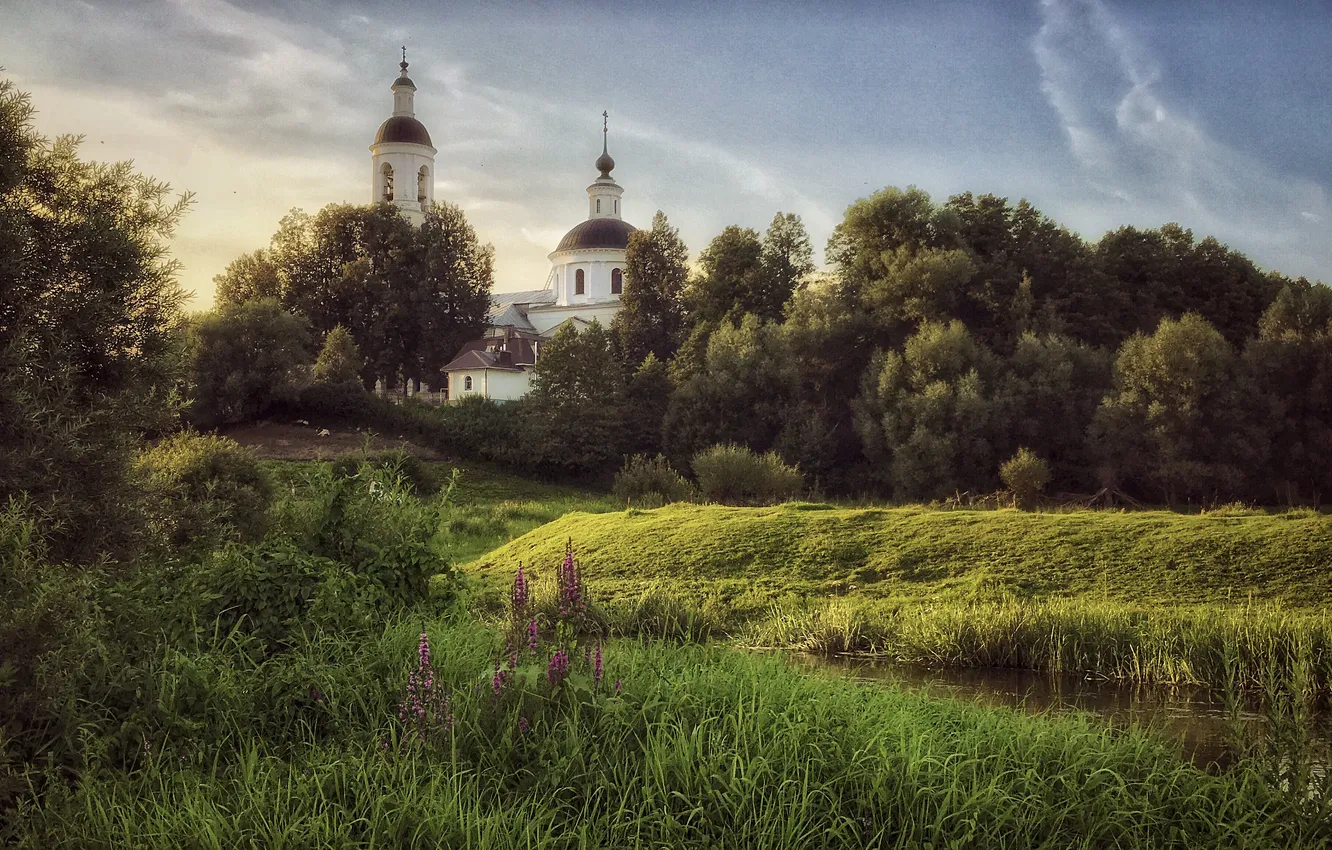 Photo wallpaper greens, forest, grass, clouds, light, trees, flowers, shore