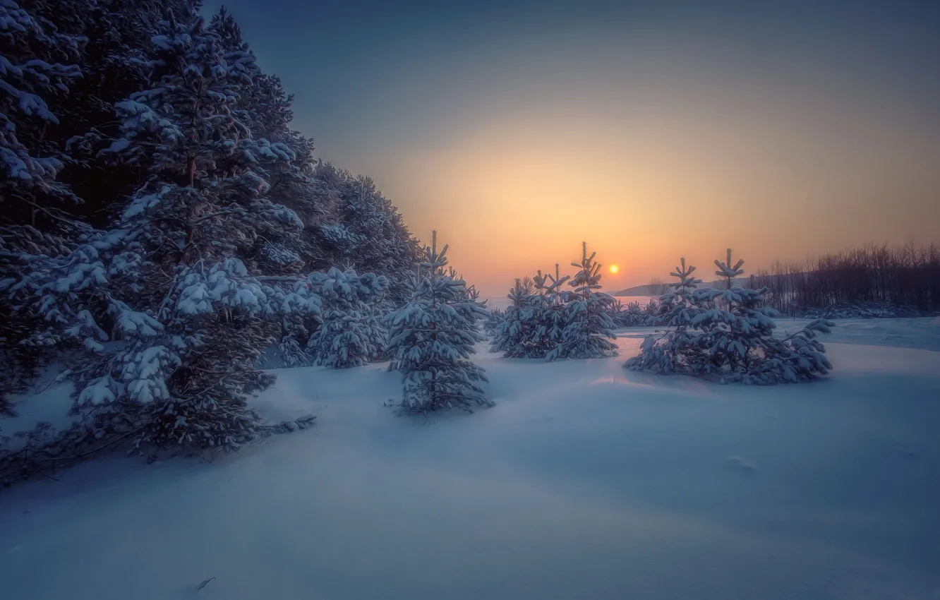 Photo wallpaper winter, forest, snow, trees, landscape, sunset, nature