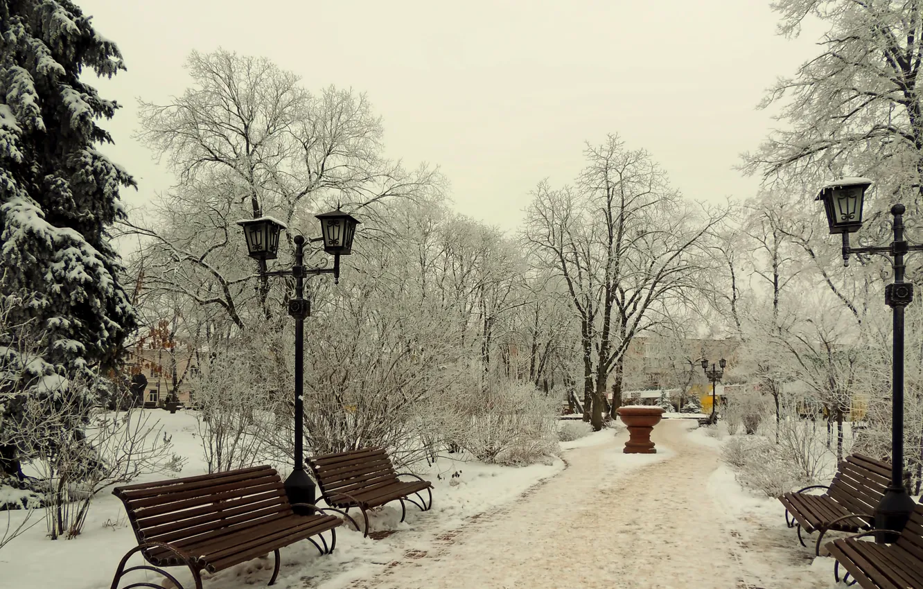 Photo wallpaper winter, the sky, snow, trees, landscape, bench, nature, Park