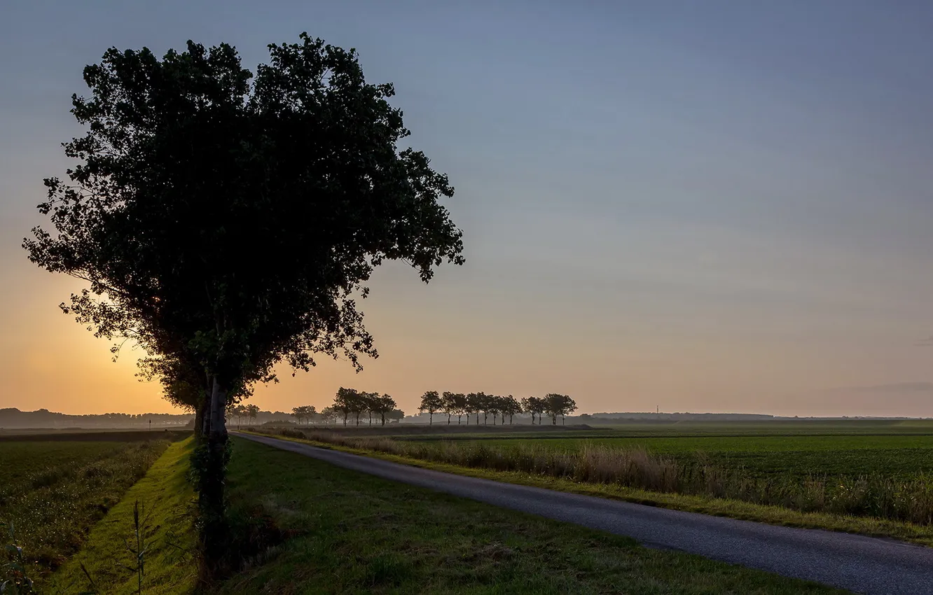 Photo wallpaper road, field, landscape, sunset