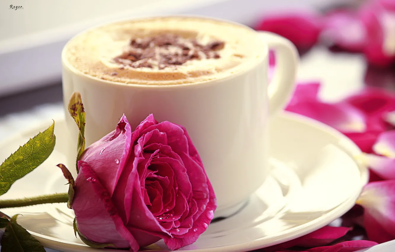 Photo wallpaper flower, pink, rose, mug, Cup, cappuccino