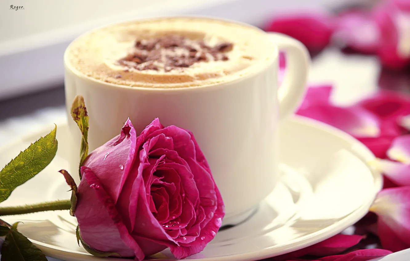 Photo wallpaper flowers, roses, mug, Cup, pink, cappuccino