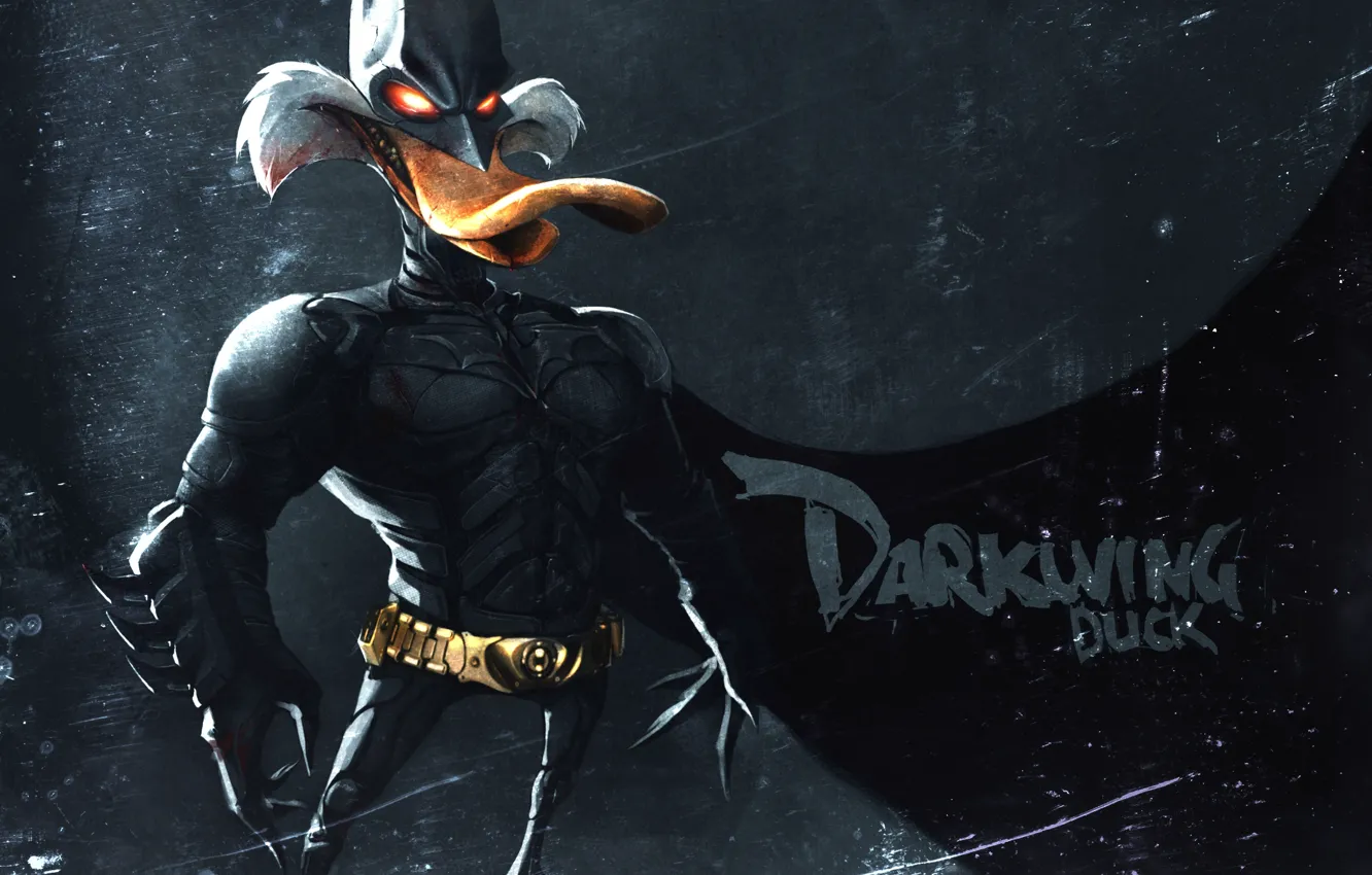 Photo wallpaper mask, suit, Dark Knight, Duck, darkwing