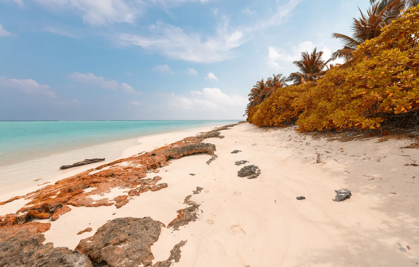 Photo wallpaper sand, sea, beach, the sky, clouds, trees, tropics, stones