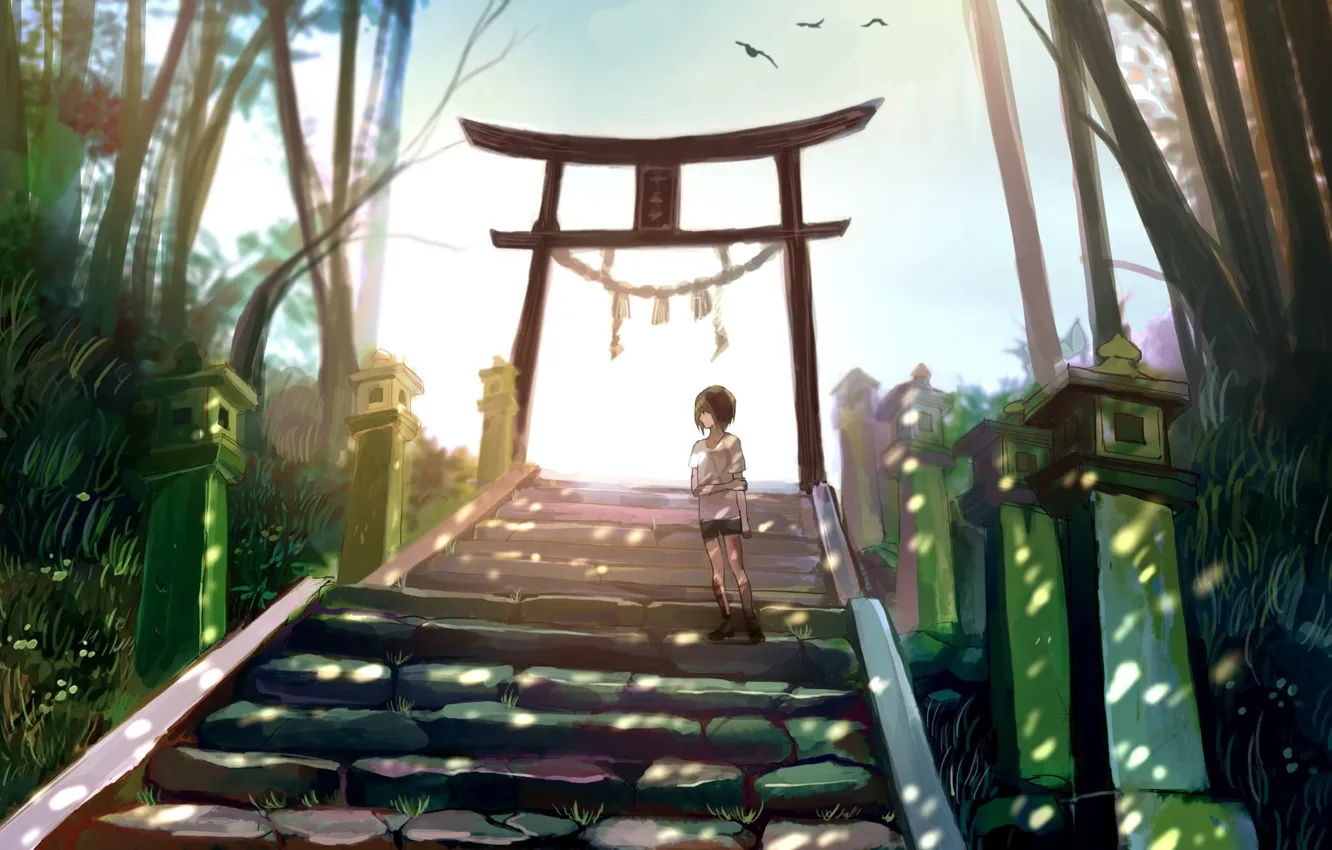 Photo wallpaper girl, nature, lights, torii
