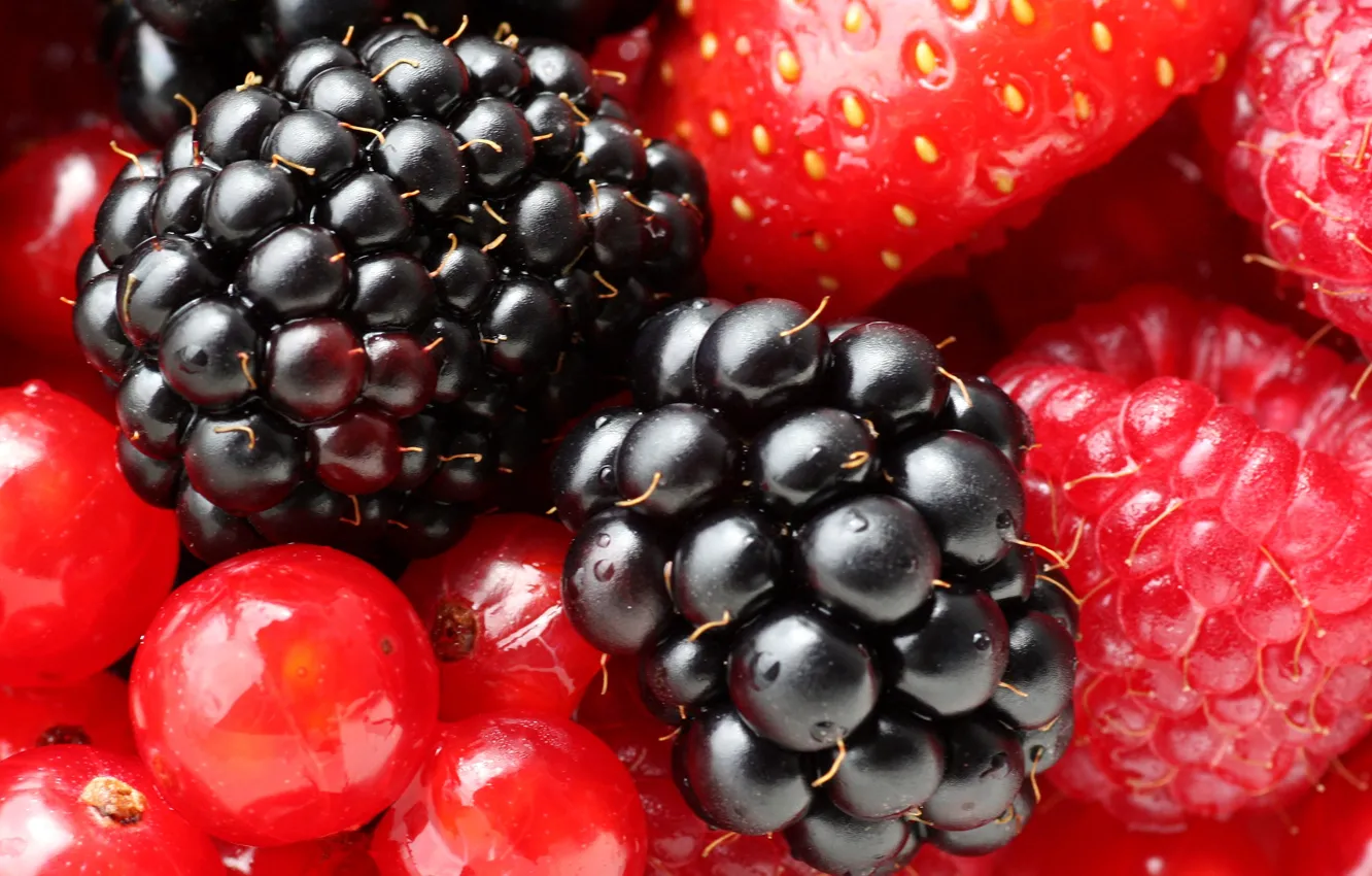 Photo wallpaper raspberry, strawberry, berry, BlackBerry. currants