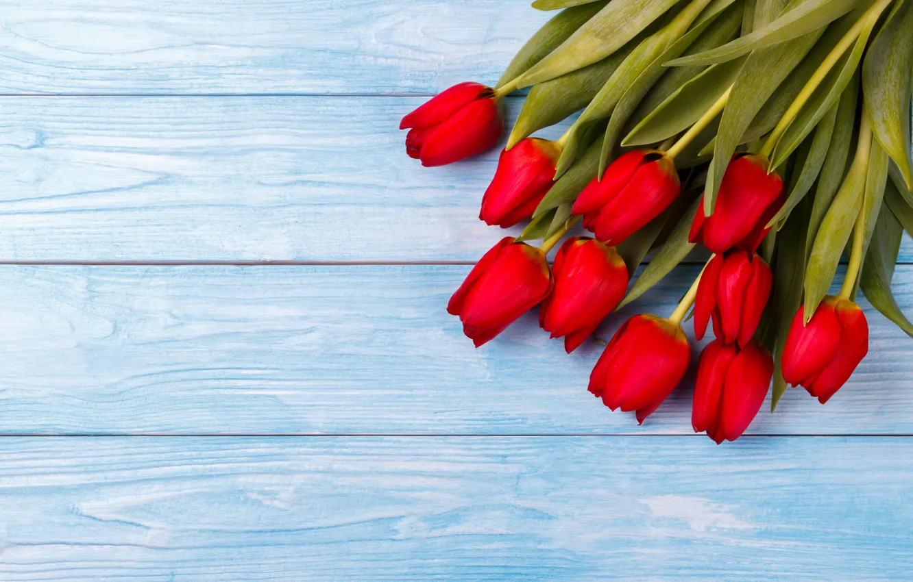 Photo wallpaper flowers, red, bouquet, tulips, red, fresh, wood, flowers