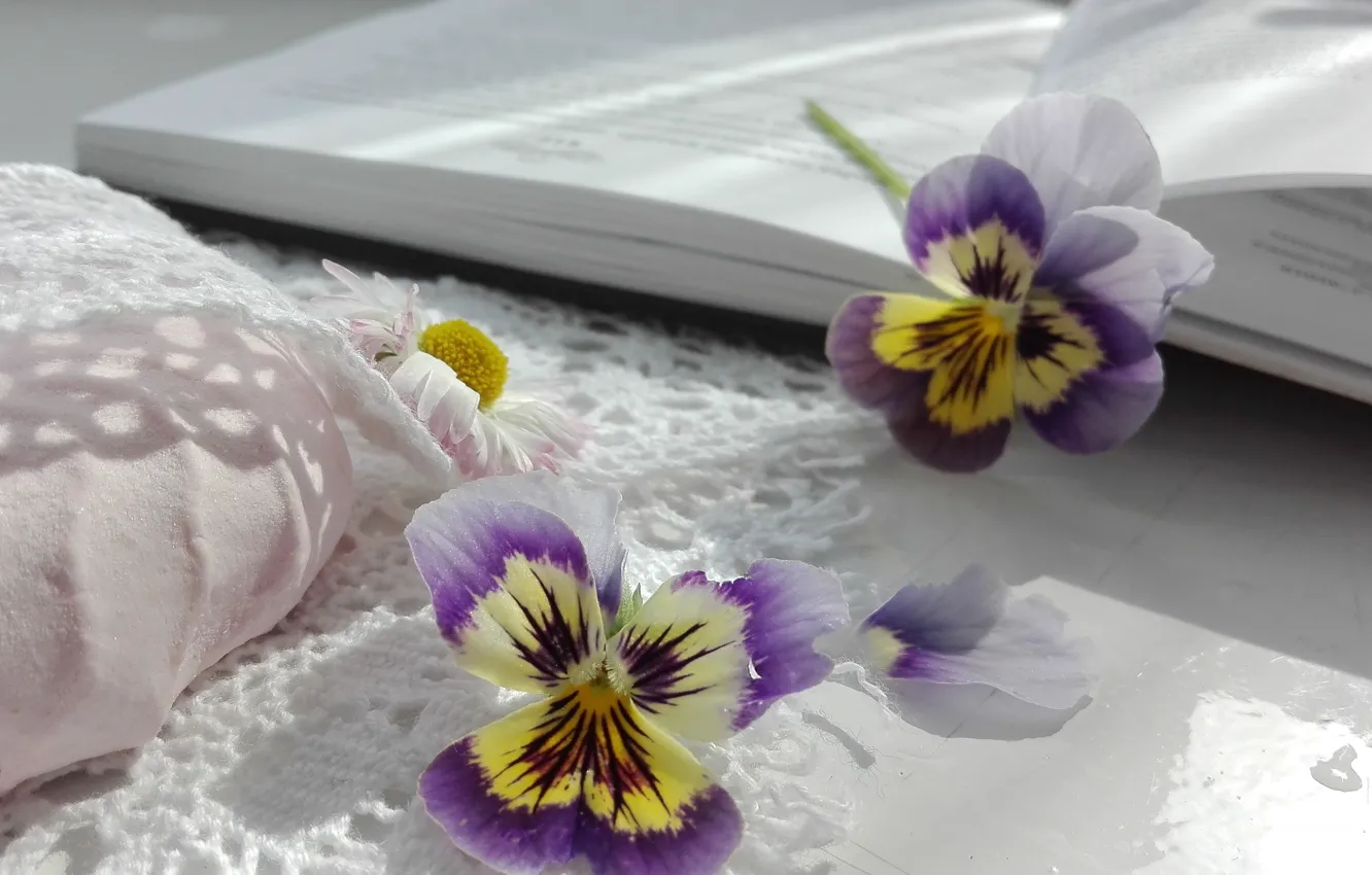 Photo wallpaper light, flowers, table, petals, Daisy, shadows, book, Pansy
