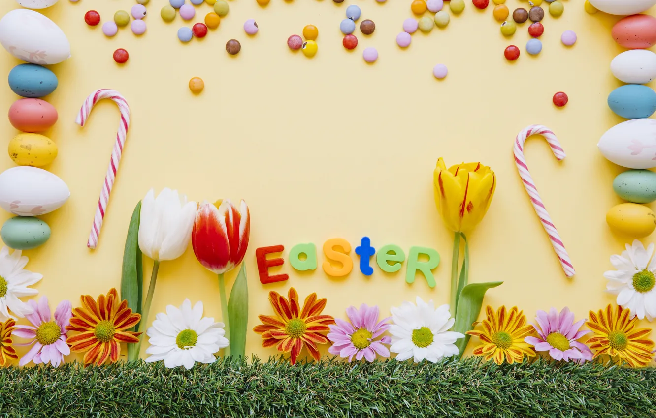 Photo wallpaper flowers, background, holiday, eggs, Easter, tulips
