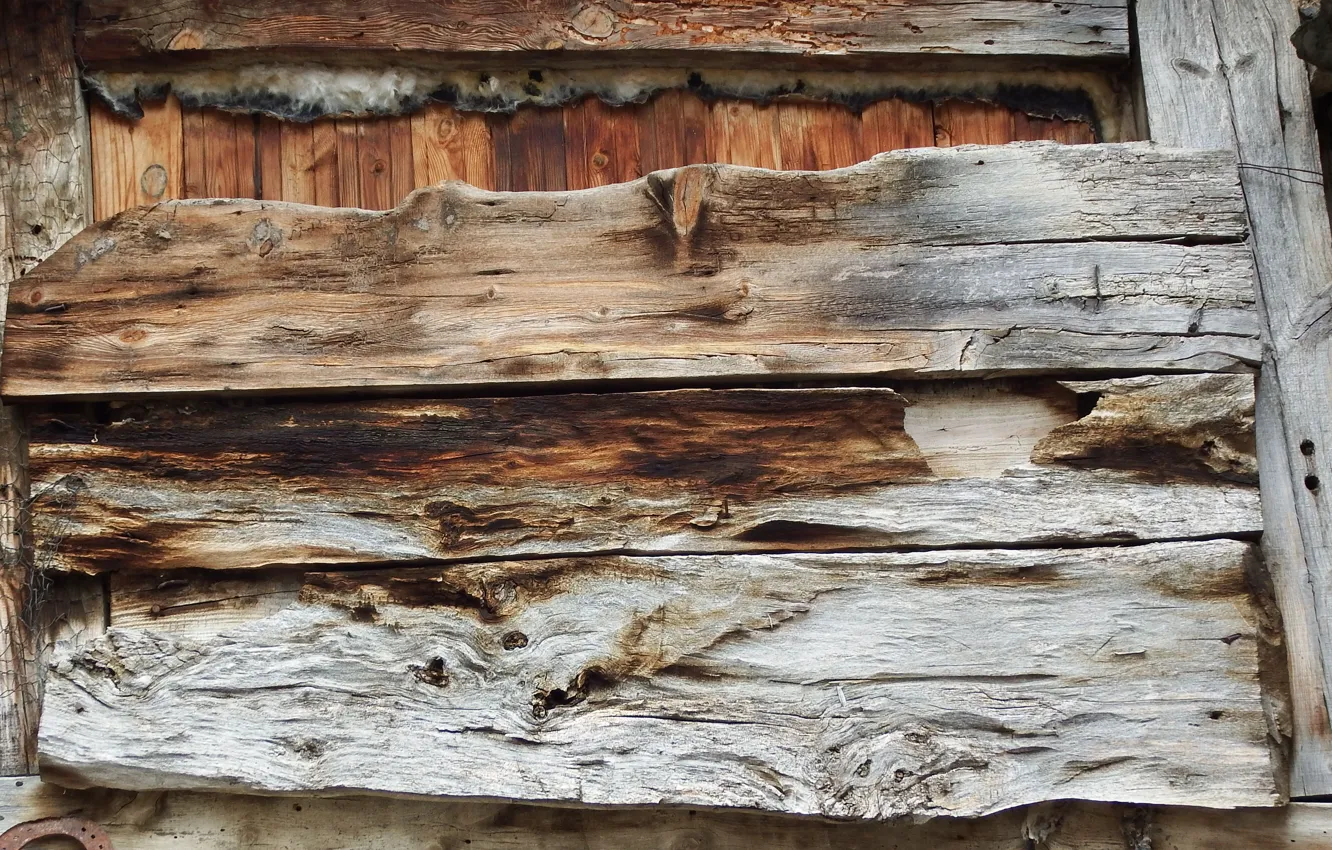 Photo wallpaper wall, wood, pattern