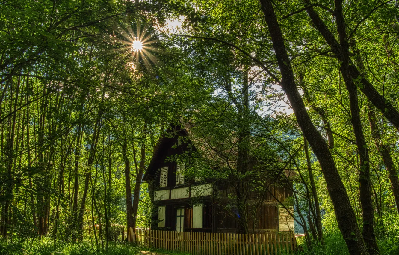 Photo wallpaper photo, Nature, The fence, Trees, Austria, House, Carinthia, Rays of light