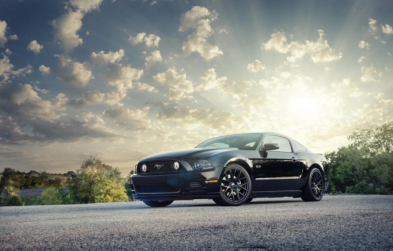 Photo wallpaper the sun, glare, Mustang, Ford, Mustang, black, Ford, Front