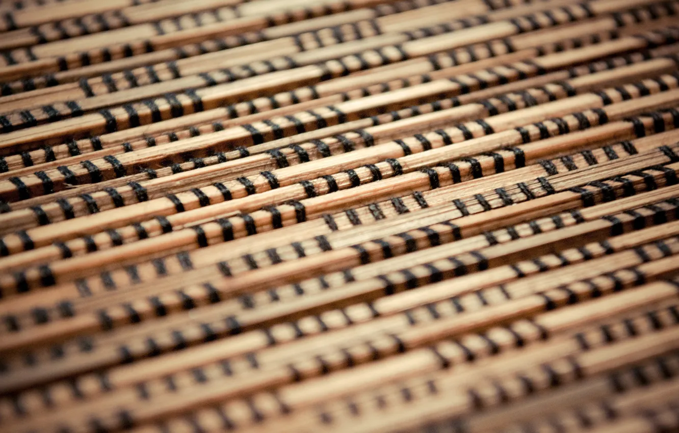 Photo wallpaper macro, trees, pattern, focus, Focus, wood, patterns, macro