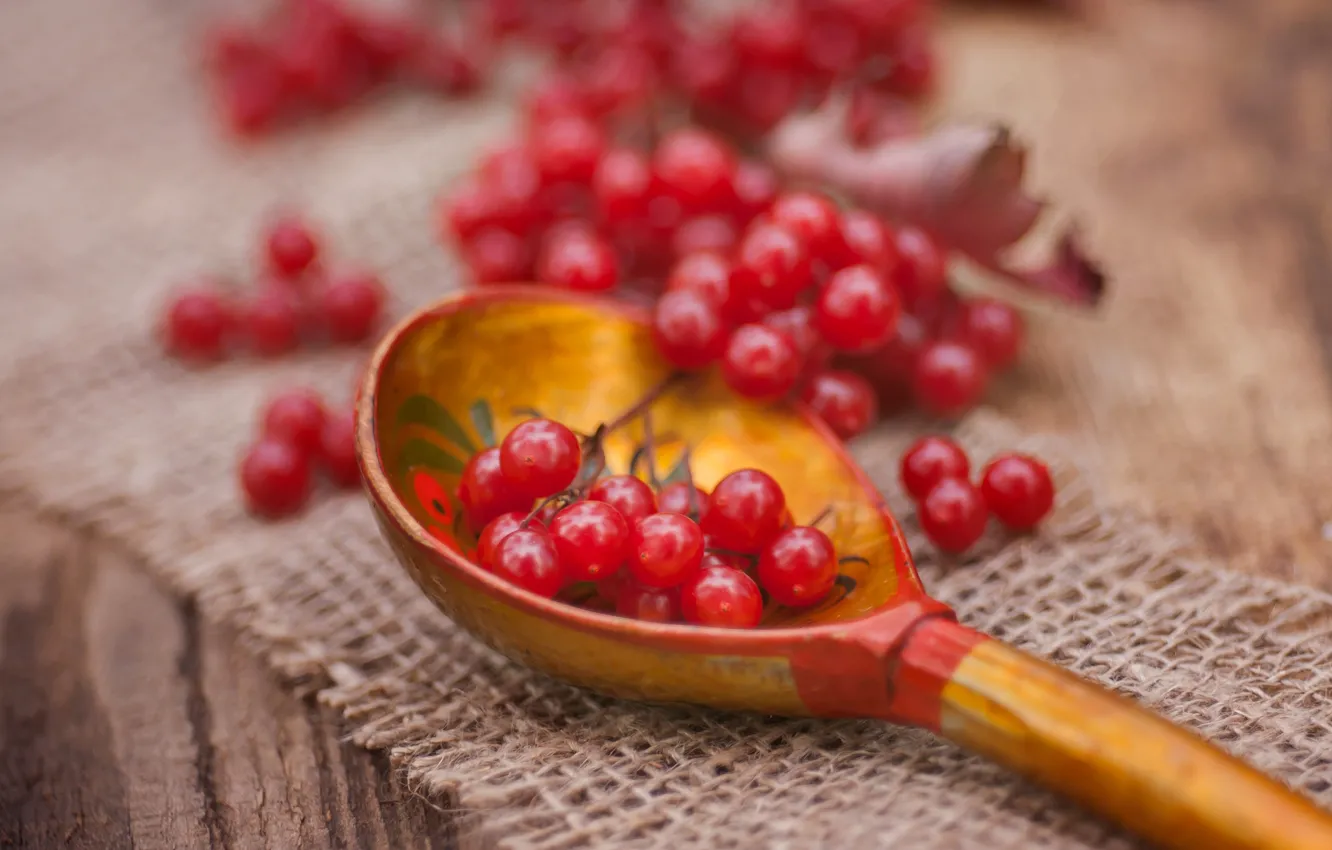 Photo wallpaper macro, berries, spoon, Kalina