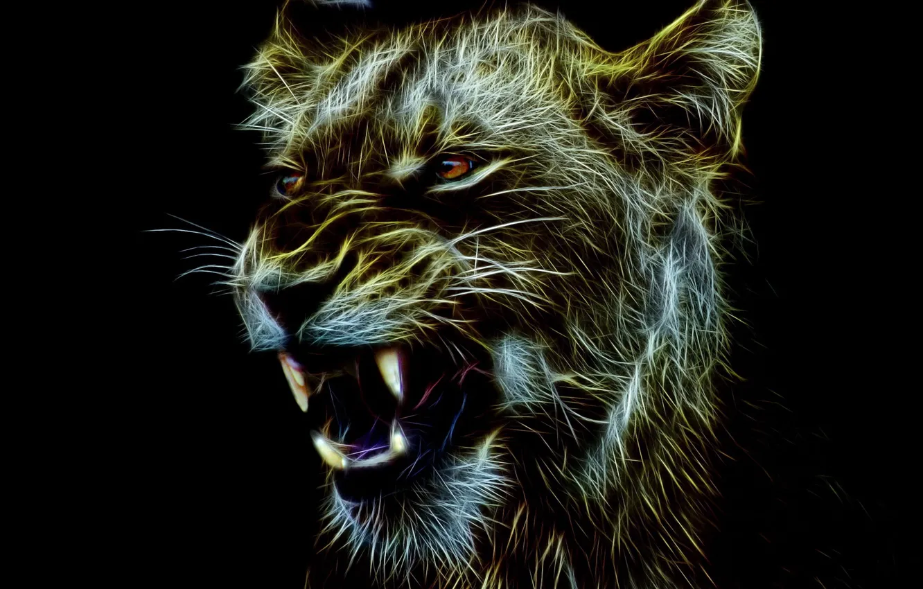 Photo wallpaper Lioness, Black background, Fangs, Face, Art, Big cat, Grin, Predator