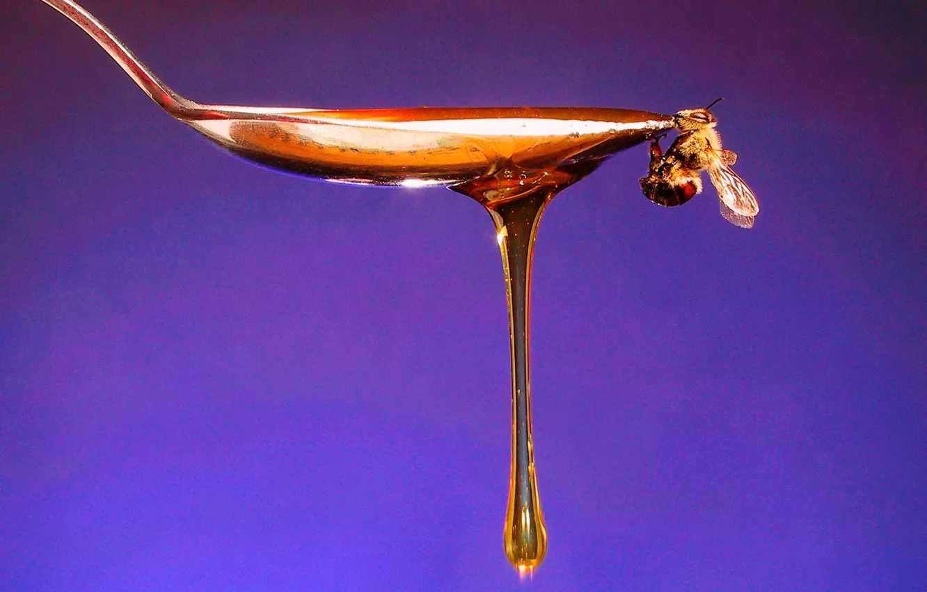 Photo wallpaper bee, honey, spoon