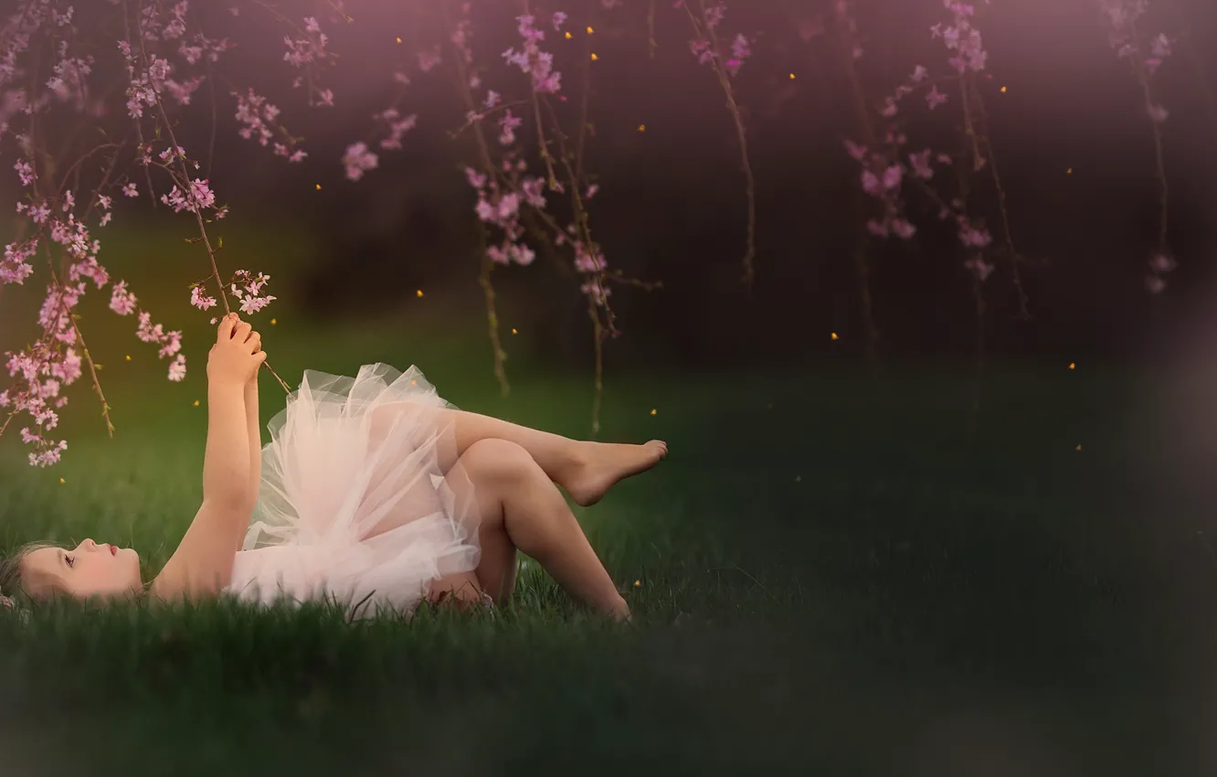 Photo wallpaper branches, spring, girl, flowers, Meg Bitton