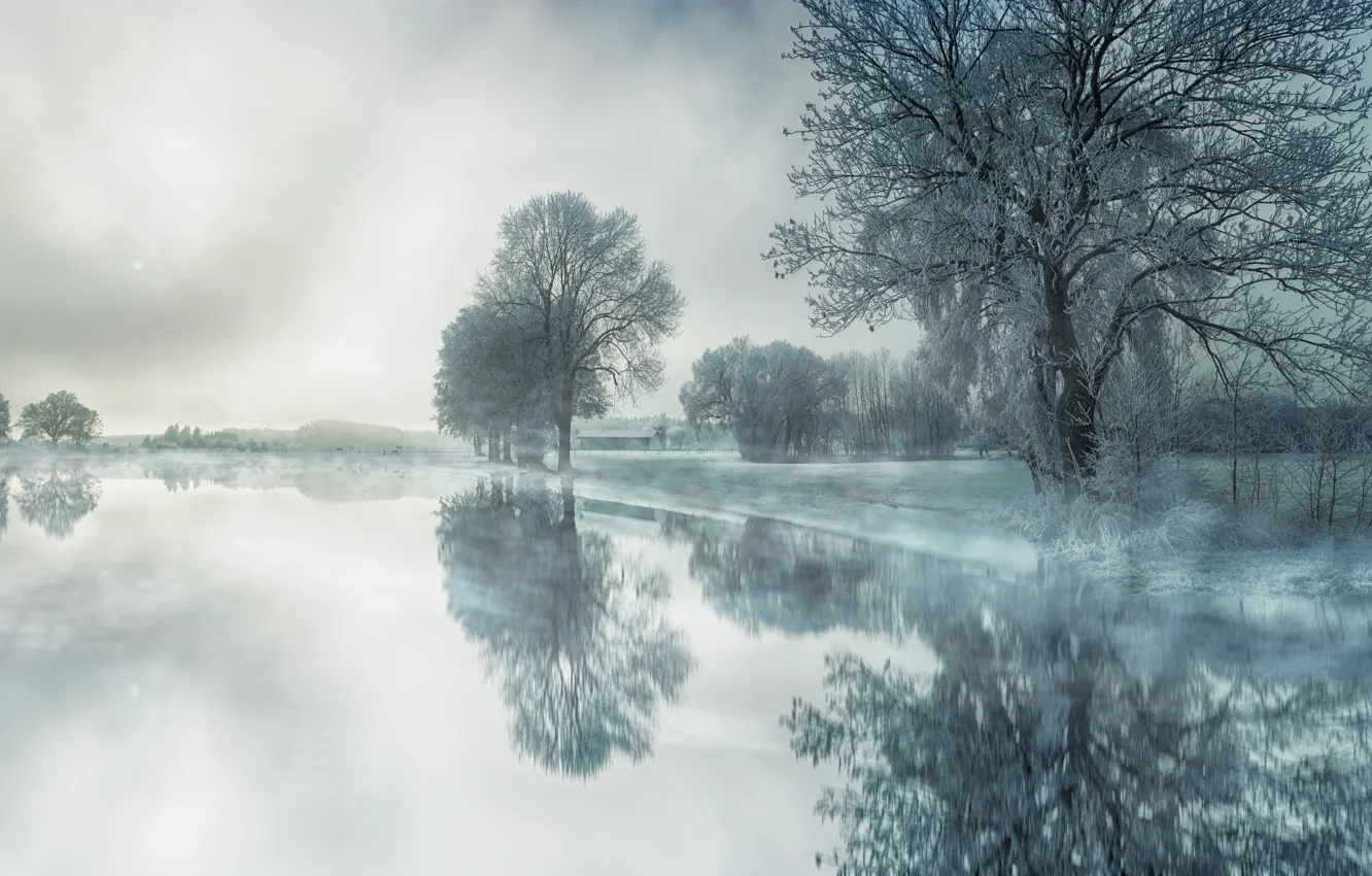 Photo wallpaper winter, frost, water, trees, fog, lake, reflection