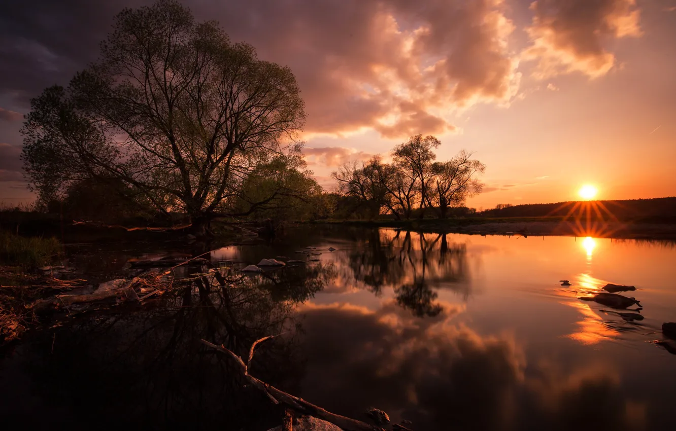 Photo wallpaper sunset, river, tree