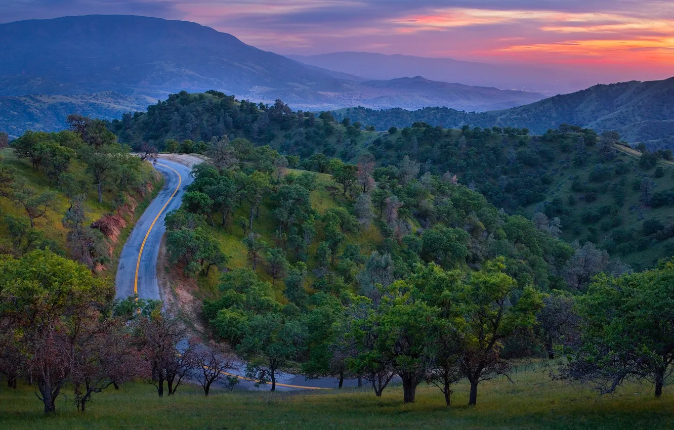 Photo wallpaper road, forest, trees, sunset, mountains, nature