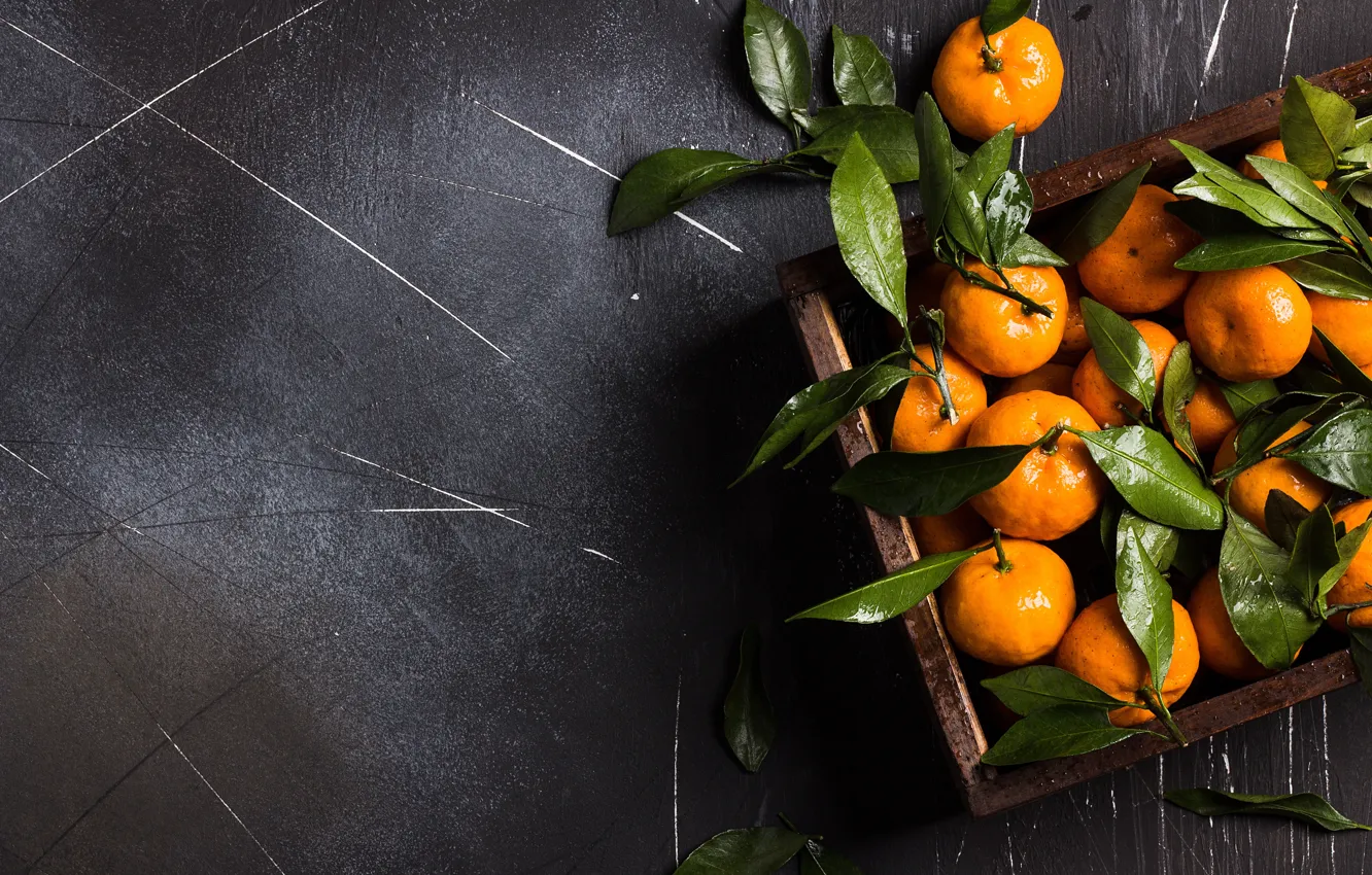 Photo wallpaper leaves, line, the dark background, citrus, box, a lot, composition, tangerines