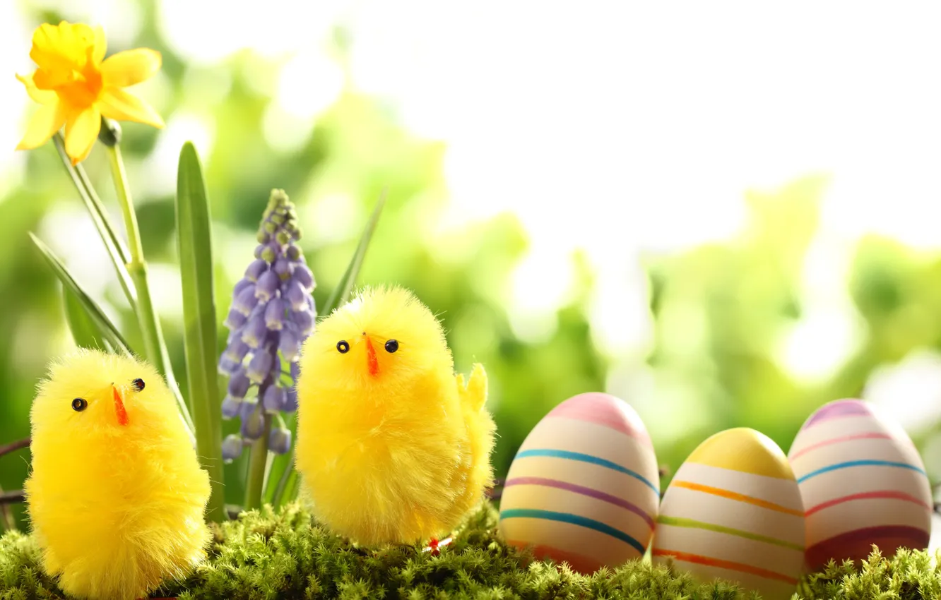 Photo wallpaper grass, flowers, nature, holiday, chickens, eggs, spring, Easter