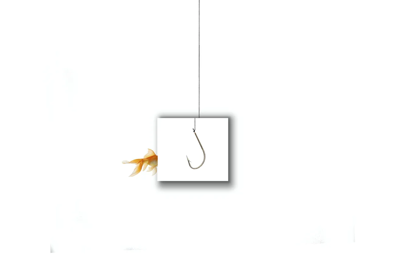 Photo wallpaper background, fish, hook