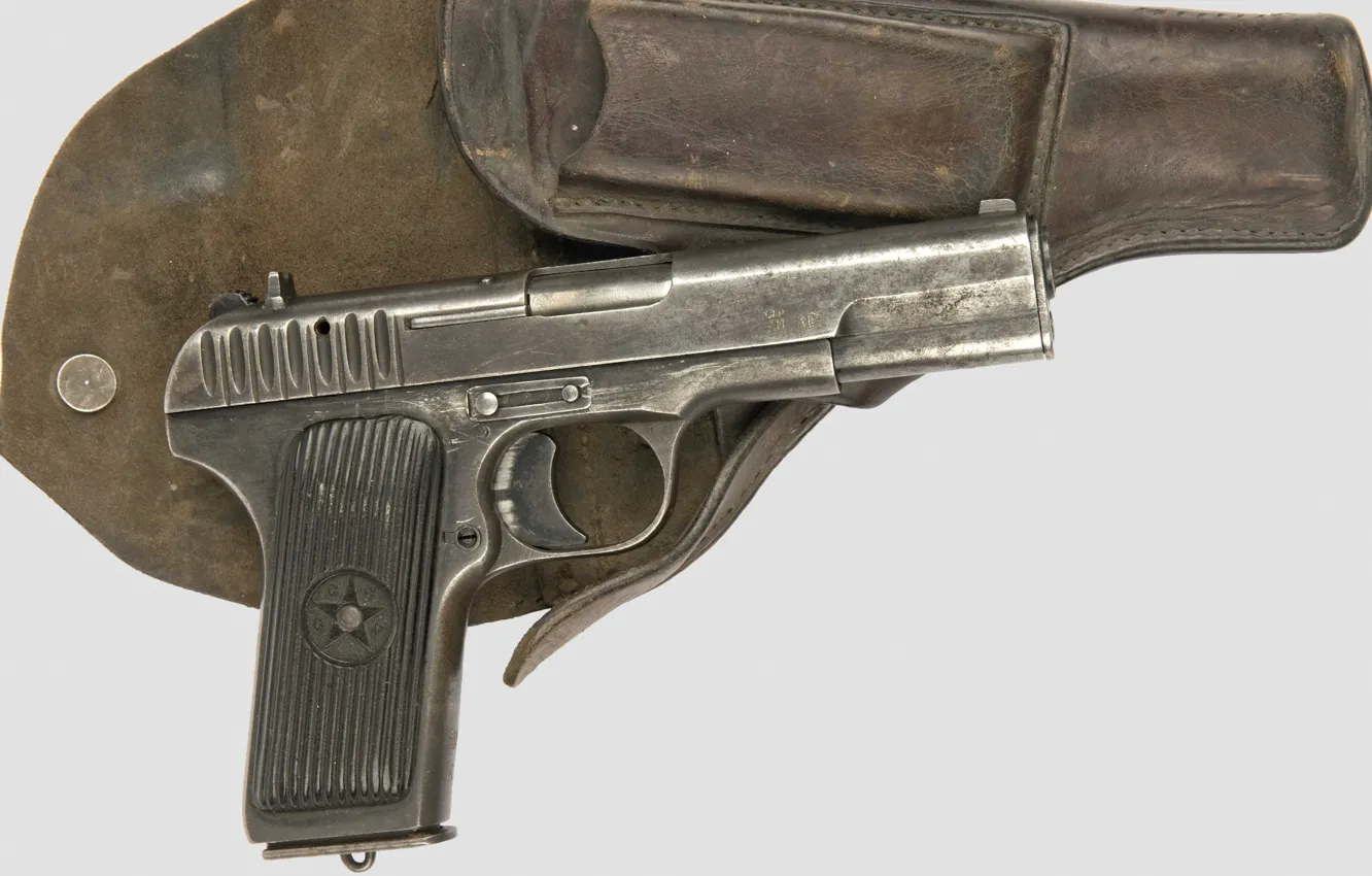 Photo wallpaper gun, Tokarev 33, handgunj, Holster