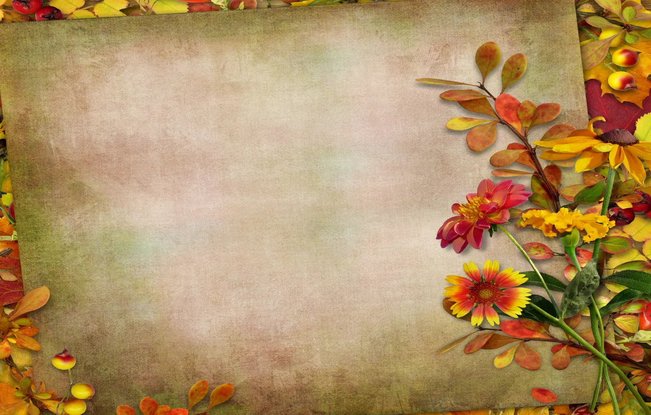 Photo wallpaper autumn, leaves, flowers, berries, vintage, background, autumn, leaves
