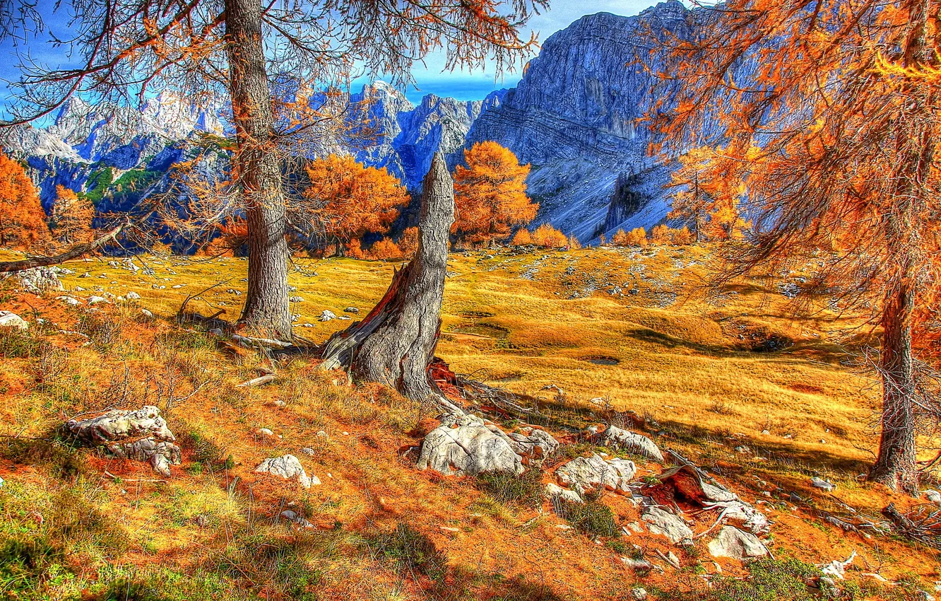 Photo wallpaper autumn, mountains, rocks, Slovenia, Slovenia, trees.