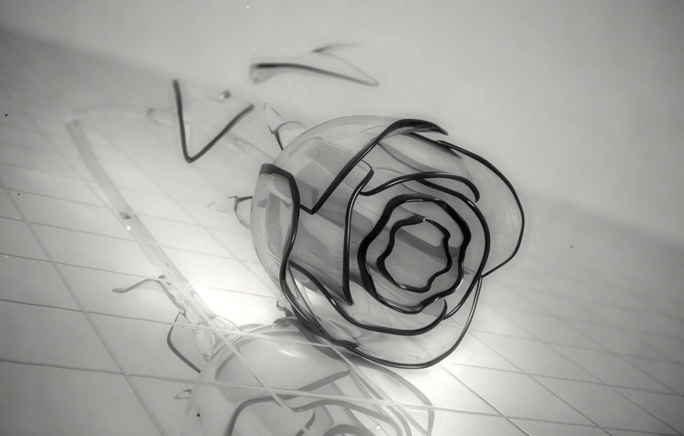 Photo wallpaper flower, glass, grey, rose