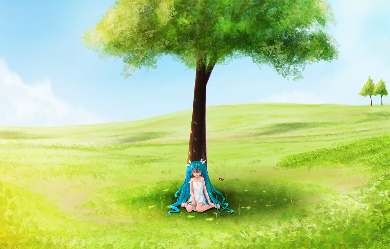 Photo wallpaper field, summer, tree, girl