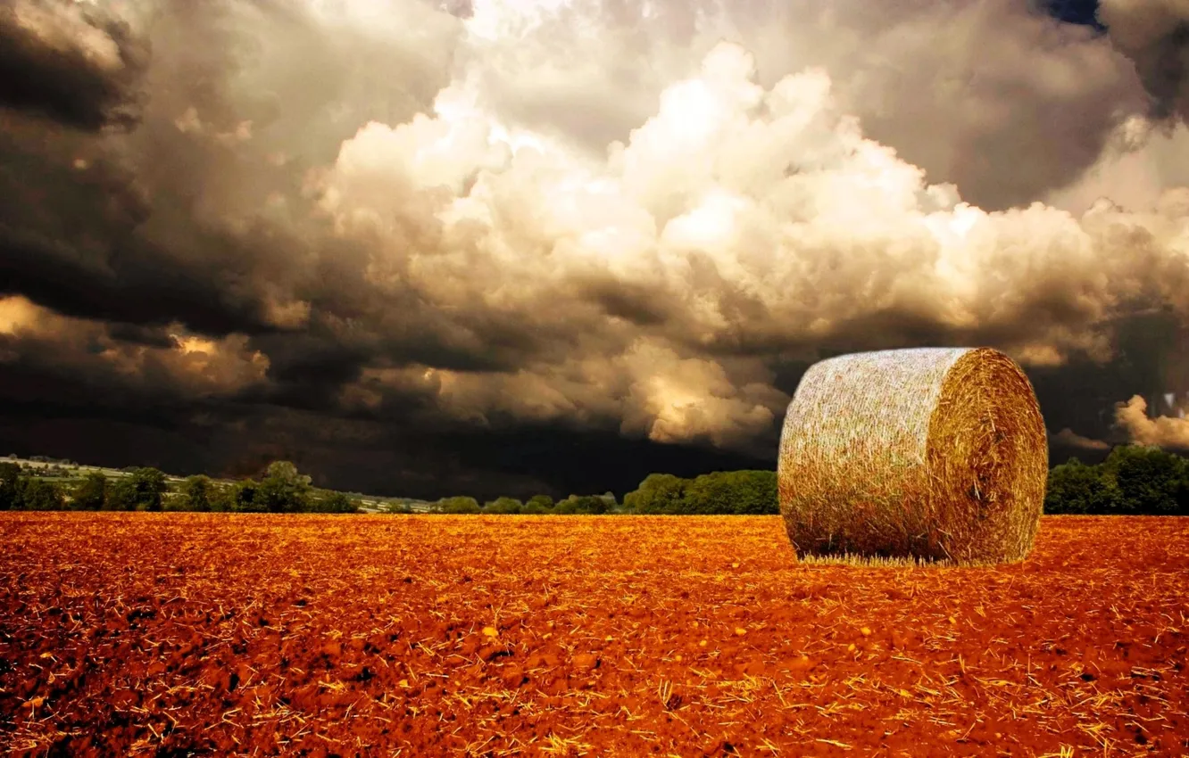 Photo wallpaper field, the sky, trees, clouds, hay, grove
