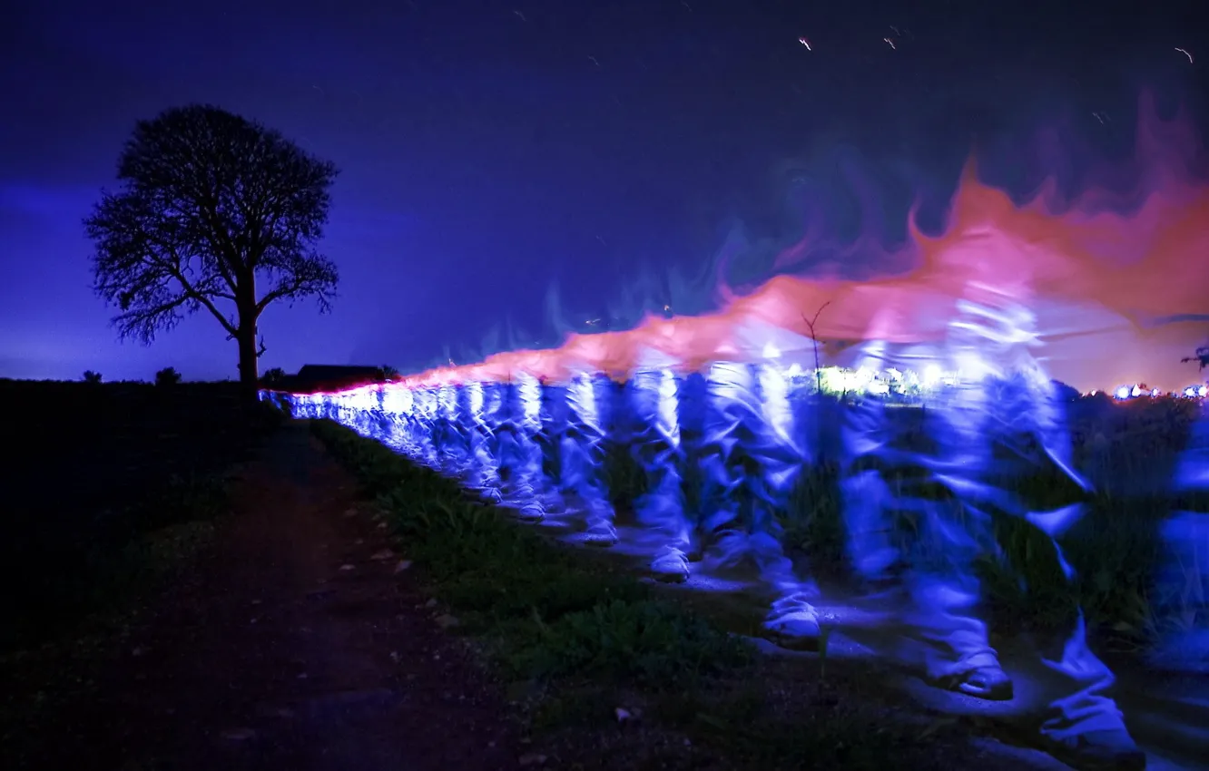 Photo wallpaper light, trees, night, feet
