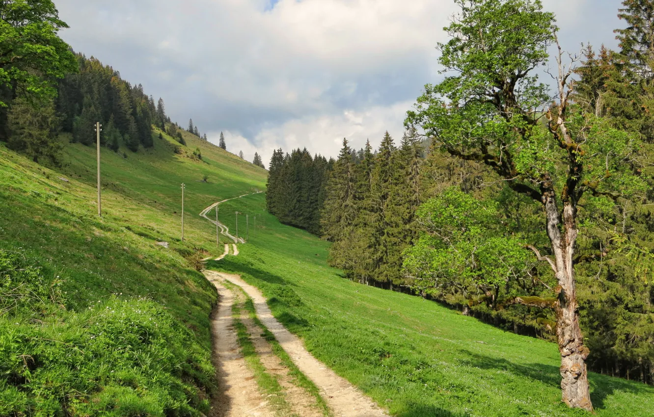 Photo wallpaper road, grass, landscape, nature, Switzerland, Fribourg