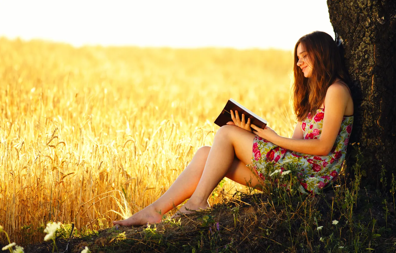 Photo wallpaper wheat, field, girl, tree, book, ears, reading