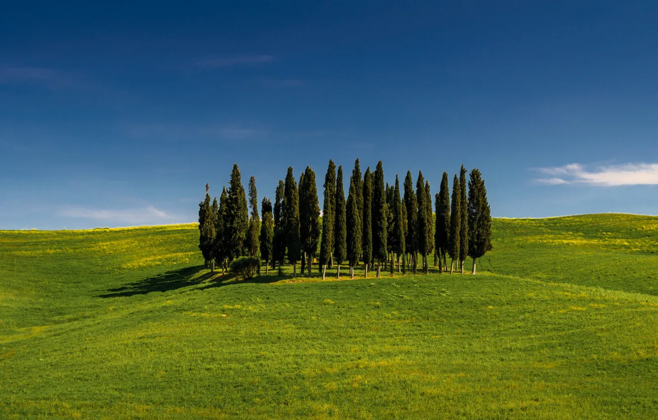 Photo wallpaper the sky, grass, trees, hills, Italy, Tuscany, San Quirico d'orcia