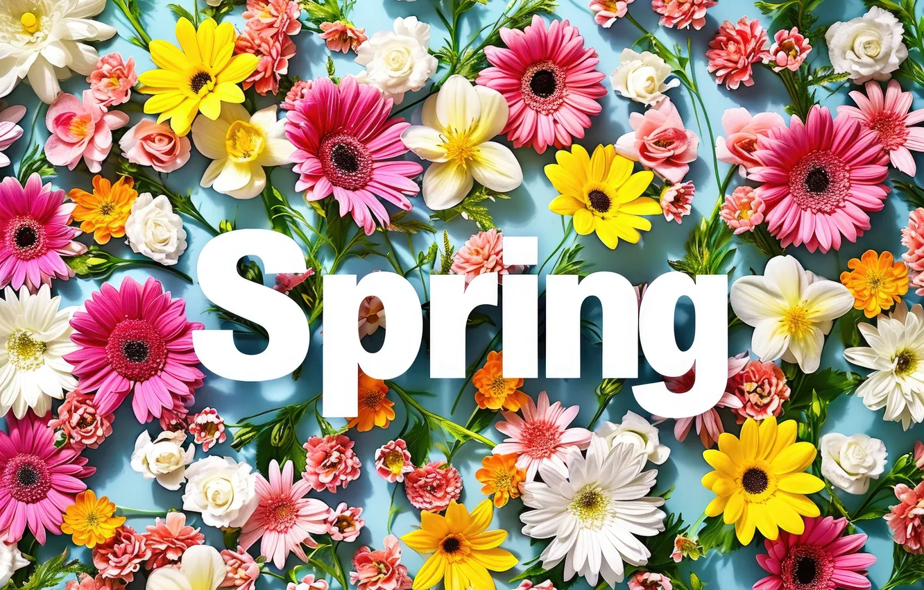 Photo wallpaper flowers, spring, colorful, flowers, spring