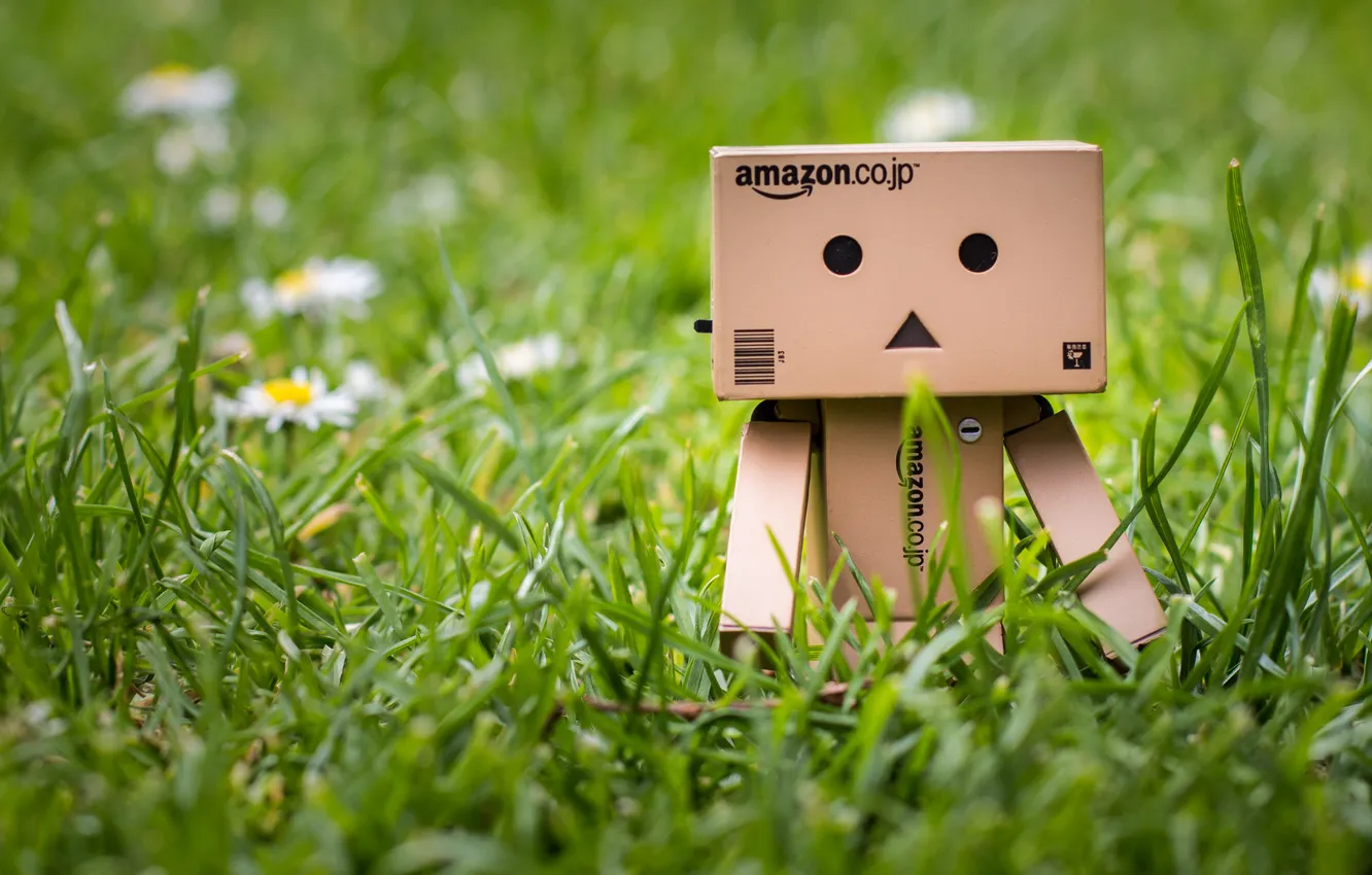 Photo wallpaper grass, toy, danbo