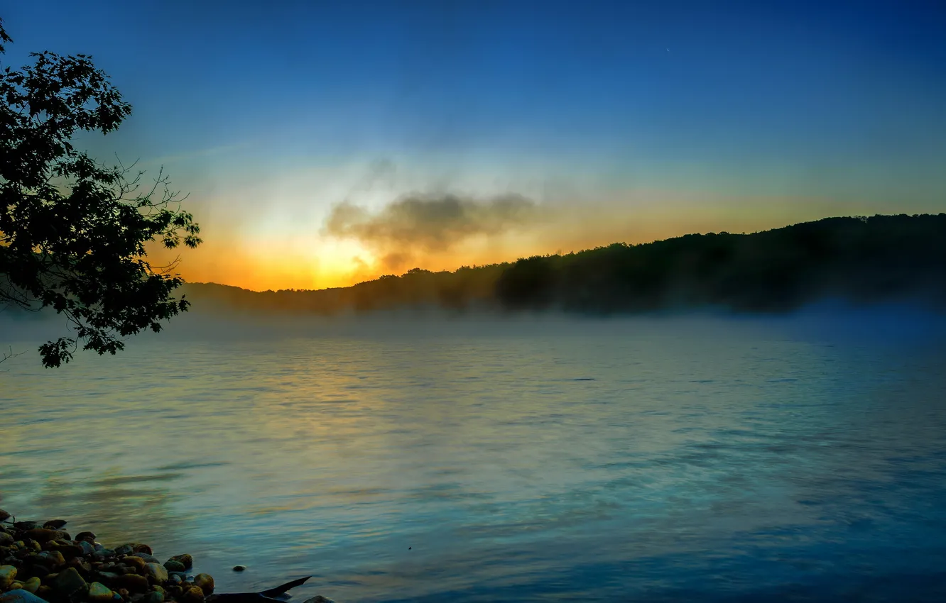 Photo wallpaper landscape, fog, river, morning