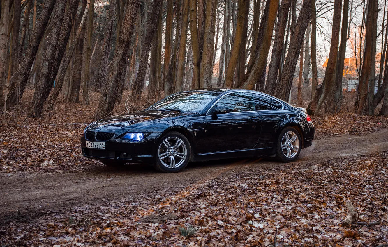 Photo wallpaper BMW, E63, BMW6