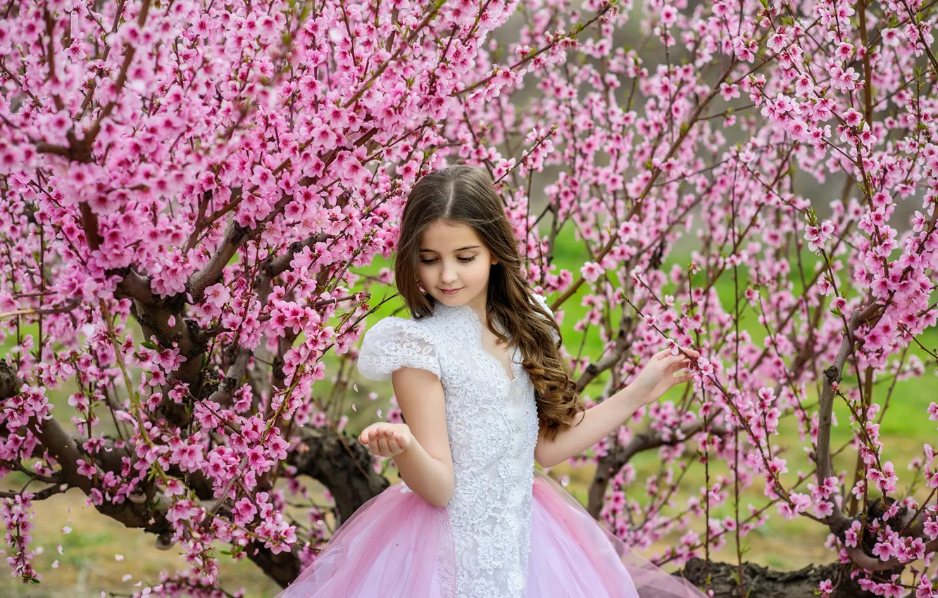 Photo wallpaper branches, pose, spring, dress, girl, beautiful, flowering