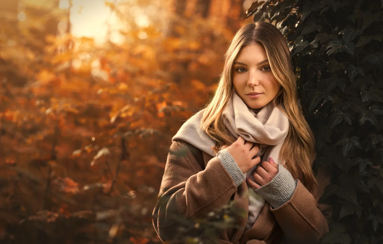 Photo wallpaper look, girl, sweetheart, hair, coat