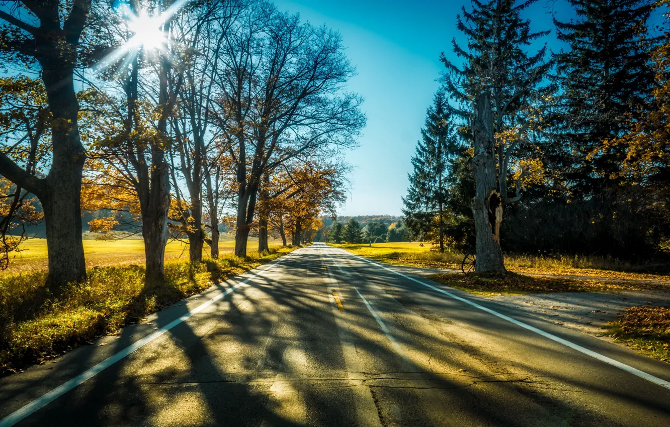 Photo wallpaper road, light, trees