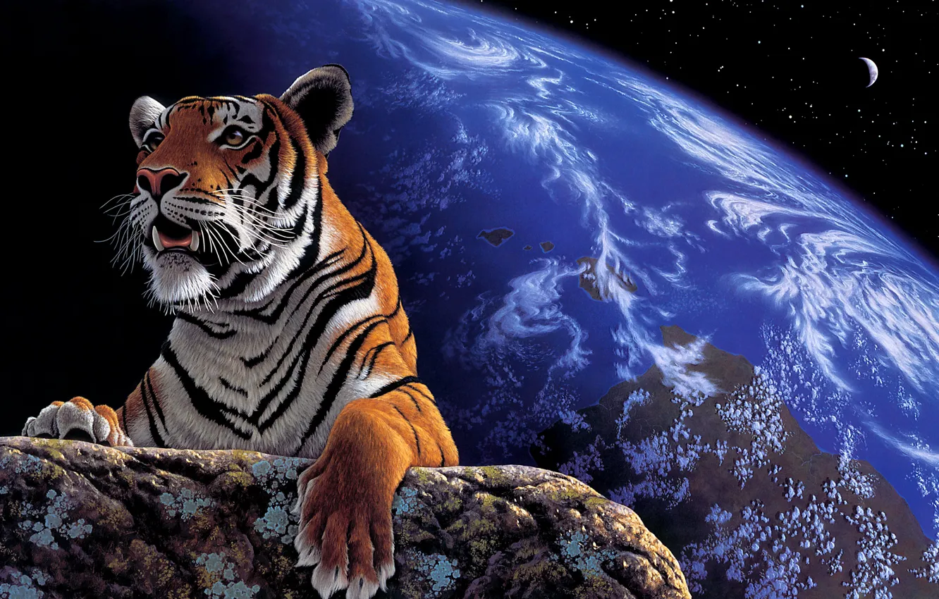 Photo wallpaper look, face, space, stars, night, tiger, the dark background, stone