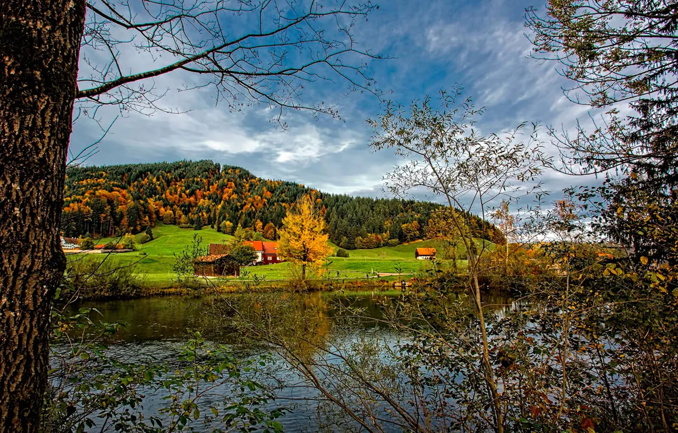 Photo wallpaper autumn, the sky, grass, trees, river, hills, home
