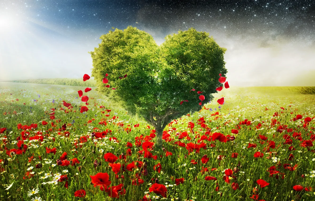 Photo wallpaper TREE, FIELD, GREENS, LEAVES, FLOWERS, HEART, SPRING, MEADOW