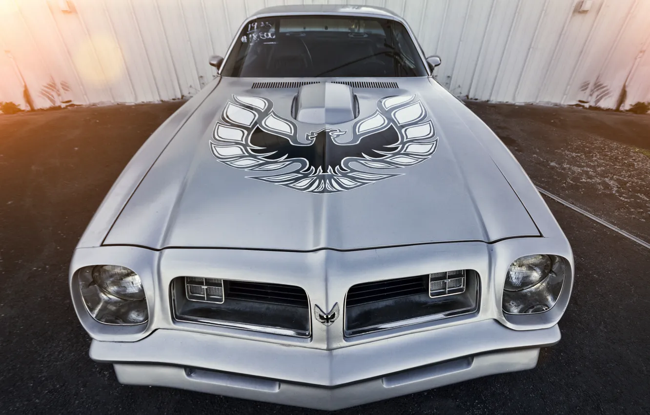 Photo wallpaper Pontiac, Firebird, Trans Am, 1973