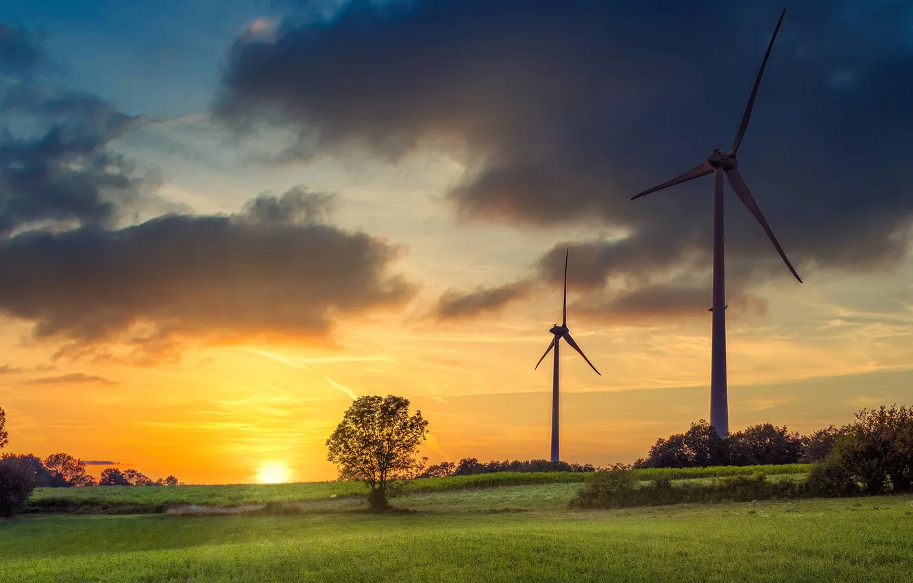 Photo wallpaper field, the sky, the sun, clouds, dawn, morning, windmills